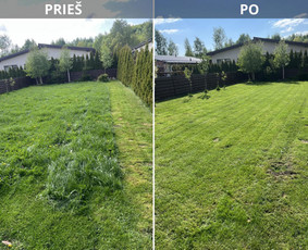 Vejos priežiūra, įrengimas - Vejos priežiūra ir aplinkos tvarkymo darbai Vilniuje - 1
