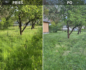 Vejos priežiūra, įrengimas - Žolės pjovimas,aplinkos tvarkymas,&scaron;akų i&scaron;vežimas/smulkinimas - 2
