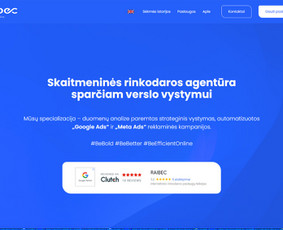 Programavimas su WordPress - Profesionalios programavimo ir svetainių kūrimo paslaugos - 1