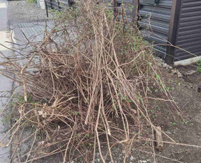 &Scaron;iuk&scaron;lių i&scaron;vežimas: statybinių ir kt. - Pigiausias atliekų, &scaron;iuk&scaron;lių i&scaron;vežimas perkraustymo griovimo - 4