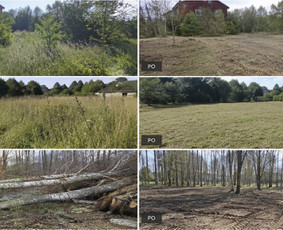 Priežiūra. Tvarka. Tvarumas. / Gamtos skulptorius, MB / Darbų pavyzdys ID 4414308