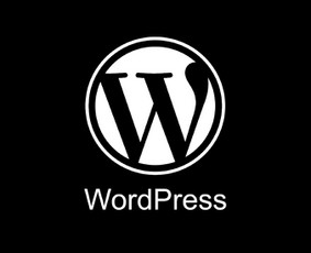 Programavimas su WordPress - Programavimas PHP / Laravel / Symfony / Prestashop / Seo - 1