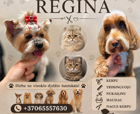 &Scaron;unų, kačių kirpyklos - Kerpu, nukailinu, triminguoju, maudau, nagus kerpu - 4