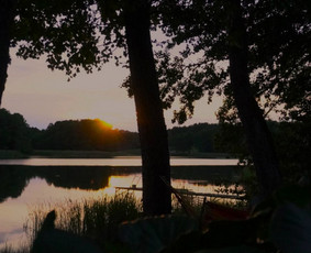 Baidarių nuoma / CBlandas / Darbų pavyzdys ID 4416266