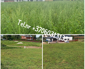 Vejos pjovimas-aplinkos priežiūra, tvarkymas. / Zigmas / Darbų pavyzdys ID 4416730