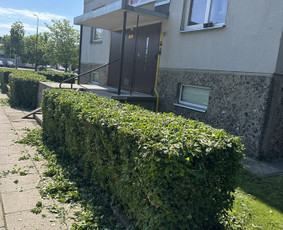 Vejos priežiūra, įrengimas - Mb Etvarka - žolės pjovimas trimeriu, žolepjove, traktoriuku - 4