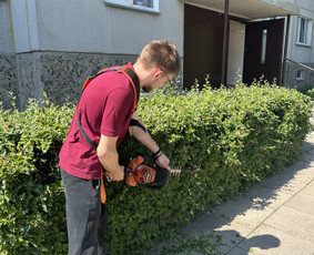 Vejos priežiūra, įrengimas - Mb Etvarka - žolės pjovimas trimeriu, žolepjove, traktoriuku - 3