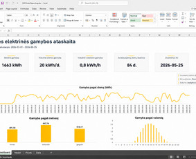 Excel automatizavimas, Power Bi ir interaktyvūs grafikai / Tomas | analytics.bi / Darbų pavyzdys ID 4417630
