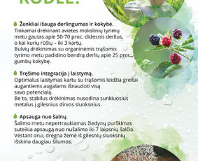 Aplinkos tvarkymas, apželdinimas - Laistymo sistemų projektavimas, įrengimas. - 2
