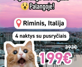 Vizualinis dizainas verslui Maketavimas ir reklama / Ana Litoš / Darbų pavyzdys ID 4417814