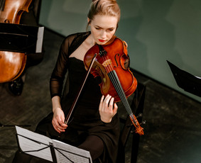 Muzikos mokytojai - Smuiko ir alto pamokos/ violin and viola lessons - 1