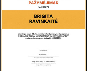 Skrajutės maketavimas - Socialinių tinklų turinio kūrėja - Ugc Smm Reels Foto - 3