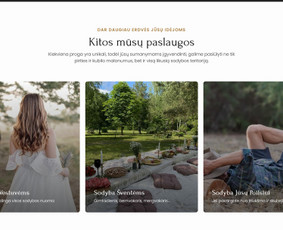 Amberpixel - Web Dizaino ir Skaitmeninių Sprendimų Studija / AmberPixel studija / Darbų pavyzdys ID 4418692