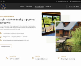 Amberpixel - Web Dizaino ir Skaitmeninių Sprendimų Studija / AmberPixel studija / Darbų pavyzdys ID 4418696