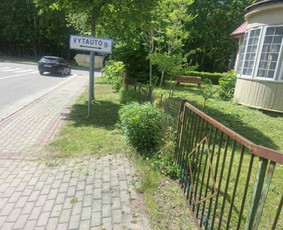 Vejos priežiūra, įrengimas - Žolės &scaron;ienavimas, tujų formavimas, sodybų priežiūra - 2