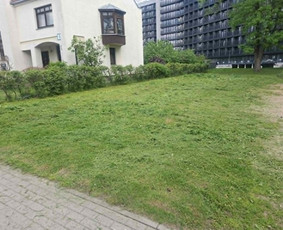 Vejos priežiūra, įrengimas - Žolės &scaron;ienavimas, tujų formavimas, sodybų priežiūra - 1