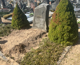 Kapų tvarkymas, Nuolaidos Iki 50% / Kapų tvarkymas visoje Lietuvoje / Darbų pavyzdys ID 4420964