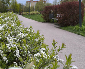 Aplinkos projektai, želdinių dizainas, konsultacijos / Julita / Darbų pavyzdys ID 4421574