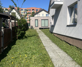 Žolės pjovimas trimeriais, mulčeriu už prieinamą kainą / Žolės pjovimas / Darbų pavyzdys ID 4422350