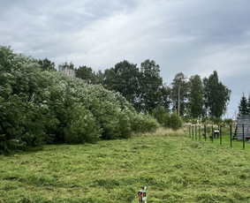 Vejos priežiūra, įrengimas - Žolės pjovimas, sklypų tvarkymas - 2