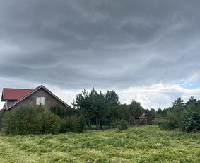 Pievų &scaron;ienavimas - Žolės pjovimas, sklypų tvarkymas - 3