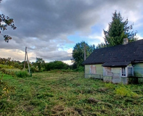 Pievų &scaron;ienavimas - Žolės pjovimas, sklypų tvarkymas - 4