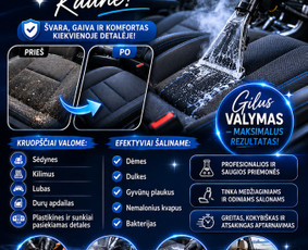 Cheminis salono valymas - Automobiliu plovykla variklių plovimas i&scaron; vir&scaron;aus ir apačios - 1