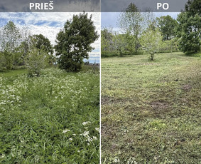 Vejos priežiūra, įrengimas - Vejos priežiūra, sklypų priežiūra, mulčiavimas - 3