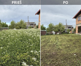 Vejos priežiūra, įrengimas - Vejos priežiūra, sklypų priežiūra, mulčiavimas - 2