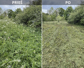 Vejos priežiūra, įrengimas - Vejos priežiūra, sklypų priežiūra, mulčiavimas - 1