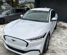 Automobilių apklijavimas, Ppf, langų tamsinimas / Lukas Butenas / Darbų pavyzdys ID 4423712