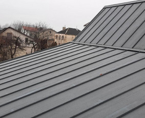 Renovuojame namus-stogus-butus.! / Algis Al / Darbų pavyzdys ID 4424166