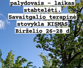 Vaikų psichologai - Psichoterapija. - 4