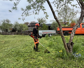 Medžių genėjimas, pjovimas - Saugus Pjūvis. Avaringų Medžių Pjovimas Genėjimas Arboristai - 1
