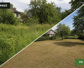 Sklypų tvarkymas – žolė, krūmai, gyvatvorės / Tvarkau Aplinką / Darbų pavyzdys ID 4425544