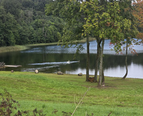 Sodybos nuomai - Stovyklavietės Prie Ežerų Molėtų Rajone - 3