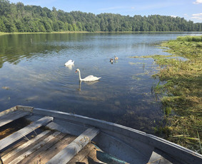 Sodybos nuomai - Stovyklavietės Prie Ežerų Molėtų Rajone - 4