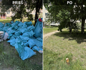 Griovimas/šiukšlių išvežimas / Lukas / Darbų pavyzdys ID 4425746