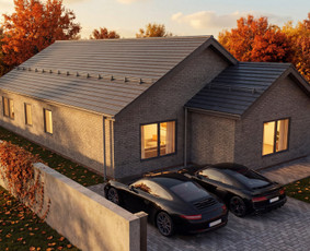 Profesionalios 3D vizualizacijos. Kainos ir kokybės santykis / VisualHomeStudioX / Darbų pavyzdys ID 4425852