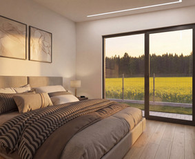Profesionalios 3D vizualizacijos. Kainos ir kokybės santykis / VisualHomeStudioX / Darbų pavyzdys ID 4425890