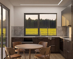 Profesionalios 3D vizualizacijos. Kainos ir kokybės santykis / VisualHomeStudioX / Darbų pavyzdys ID 4425894