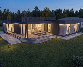 Profesionalios 3D vizualizacijos. Kainos ir kokybės santykis / VisualHomeStudioX / Darbų pavyzdys ID 4425932