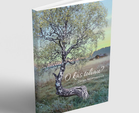 Skrajutės maketavimas - Grafinio dizaino paslaugos - 3