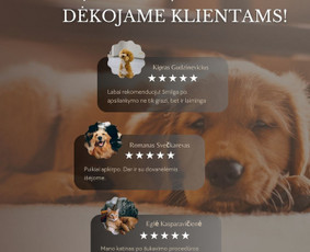 Soc. tinklų kūrimas, turinys ir administravimas / Socialinių tinklų administravimas / Darbų pavyzdys ID 4426112