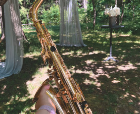 Saksofono muzika Jūsų šventei / Anahit Sargsyan / Darbų pavyzdys ID 4426398