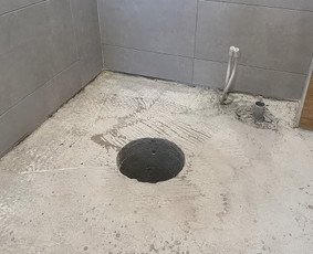 Griovimo ir aplinkos priežiūros darbai / UAB Motorclean / Darbų pavyzdys ID 4427878