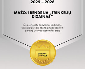 Aplinkos tvarkymas, apželdinimas - Trinkelių klojimas-kauno mieste bei rajone - 4