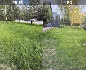 Vejos priežiūra, įrengimas - Vejos priežiūra, sklypų priežiūra, mulčiavimas - 1
