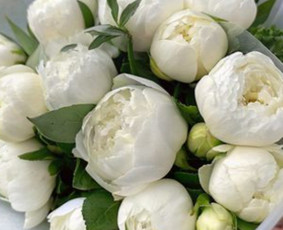 Floristai, gėlių salonai - Valgomos pok&scaron;tes, saldžios pk.kaledines pk.geliu.pk. - 2
