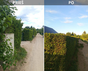 Aplinkos tvarkymas, apželdinimas - Pjaunu veją žoliapjove ir trimeriu, i&scaron;ra&scaron;au Sf - 2